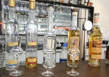 拉克斯商务酒店 酒店 埃门